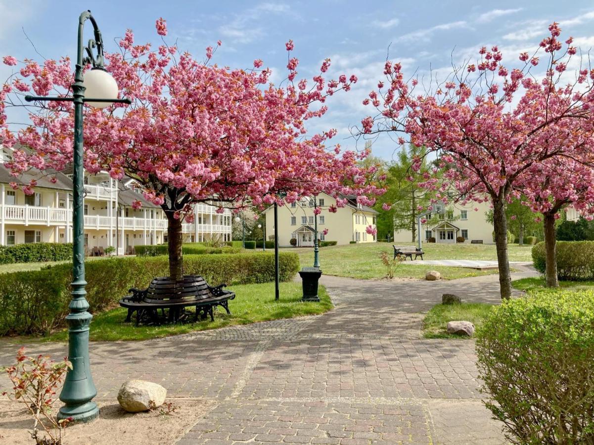 Duenenpark Binz - Wg 40 "Treibgut" Apartment Bagian luar foto
