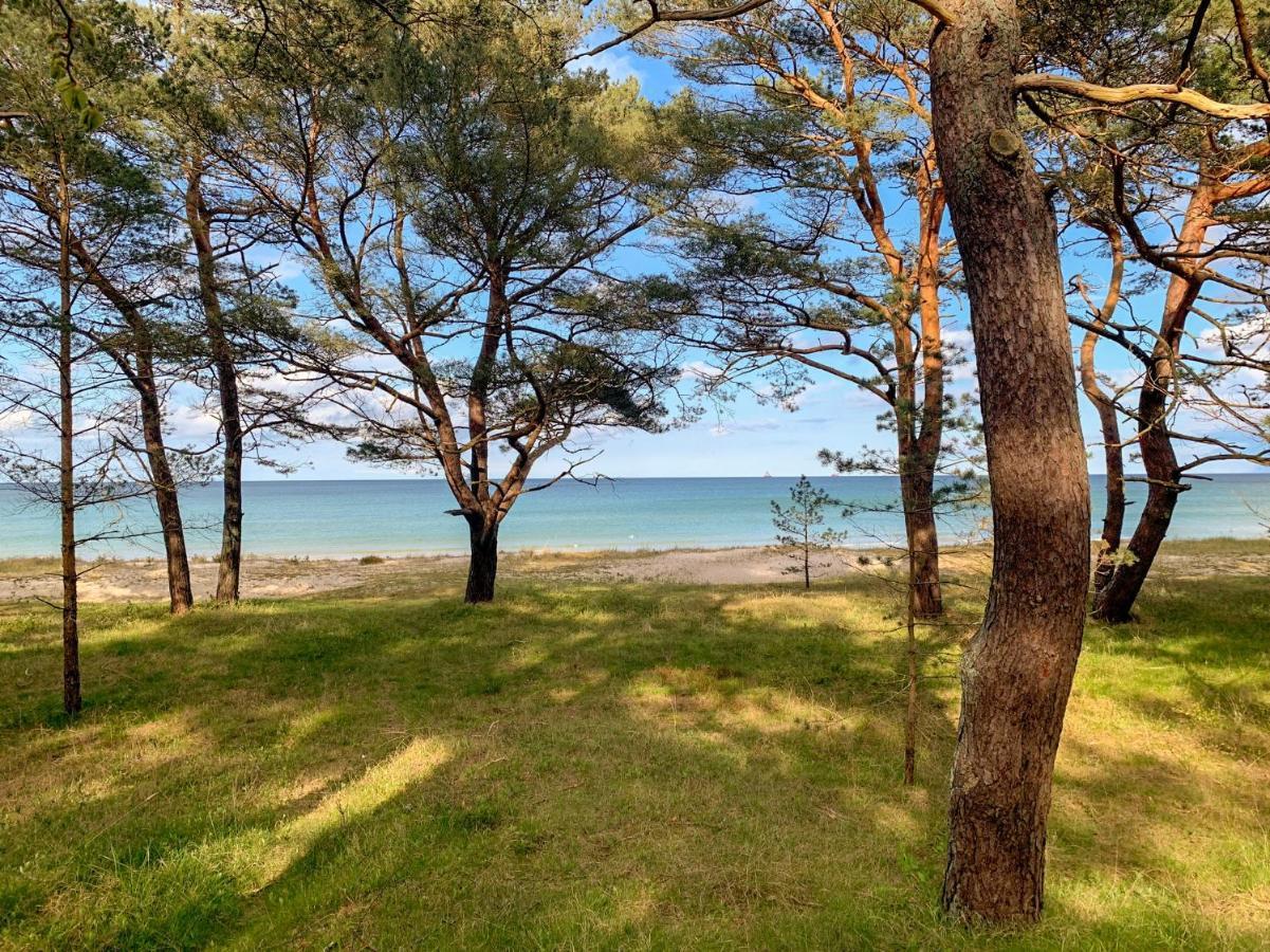 Duenenpark Binz - Wg 40 "Treibgut" Apartment Bagian luar foto